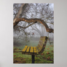 Gradería cubierta de las naturalezas posters