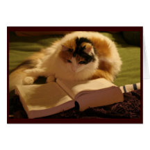 Grado felino Notecard Tarjeton