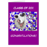 Graduación divertida del perro en púrpura tarjetas
