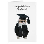 Graduación divertida tarjeta