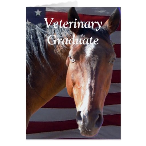 Graduado lindo del veterinario - caballo de granja felicitacion | Zazzle