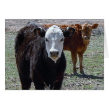 Graduado lindo del veterinario de la enhorabuena - felicitación