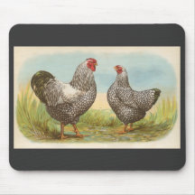 Graham - pollos atados plata de Wyandotte Tapetes De Raton
