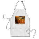 Gran calabaza delantales