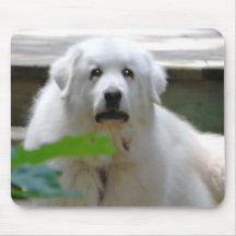 Gran cojín de ratón blanco del perro de los Pirine Tapetes De Raton