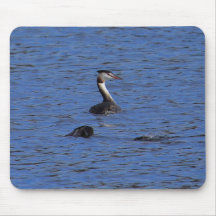 Gran Grebe con cresta Tapete De Raton