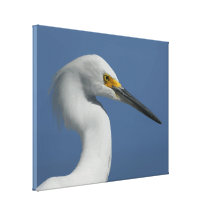 Gran impresión de la lona del Egret Lona Envuelta Para Galerías