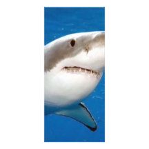 Gran tiburón blanco tarjetas publicitarias