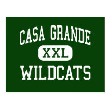 Grande - gatos monteses - joven de las casas - cas tarjeta postal