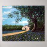 Granero con Bluebonnets Poster