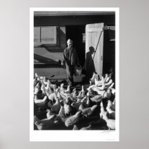 Granja de pollo Mori Nakashima 1943 Poster