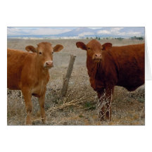 Granja linda DVM del rancho de la enhorabuena de l Felicitaciones