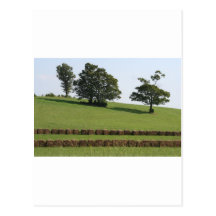 Granja Postal