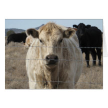 Granja veterinaria linda DVM del rancho de la enho Felicitaciones