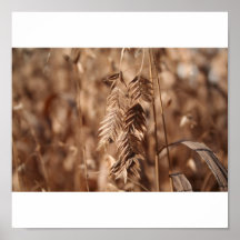 Grano Impresiones