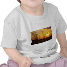 Gräser im Sonnenuntergang Shirts