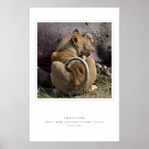 Gratitud Posters