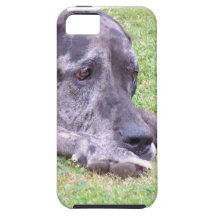 great-dane-8.jpg iPhone 5 funda