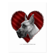 Great dane con el corazón postales