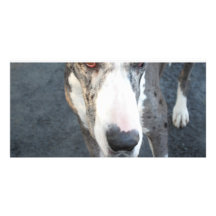 Great dane tarjeta personal con foto