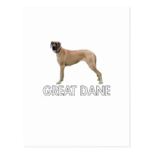 Great dane tarjeta postal