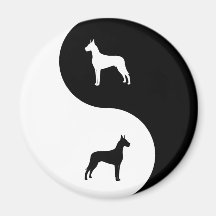 Great dane Yin Yang Imanes