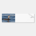 Grebe de cuernos etiqueta de parachoque