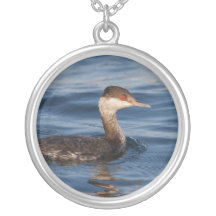 Grebe de cuernos joyerías