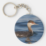 Grebe de cuernos llavero