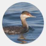 Grebe de cuernos pegatina