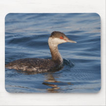Grebe de cuernos tapete de ratones