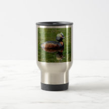 Grebe de cuernos tazas