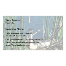 Grebe occidental plantillas de tarjetas de visita
