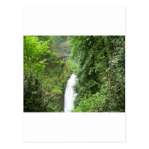 GREENERY1 TARJETAS POSTALES