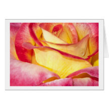 Greeting card red-yellow rose grußkarten