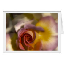 greeting card rose grußkarte
