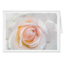 greeting card rose pastel karten