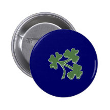 Grillo Irlanda, Irlanda Pins
