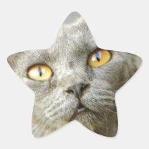Gris de Jean de la esperanza pasada Calcomania Forma De Estrella Personalizada