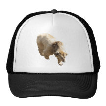 Grisáceo Gorras De Camionero