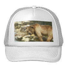 Grisáceo Gorro