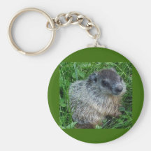 Groundhog/llavero de la marmota