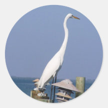 Grúa de la Florida Pegatinas Redondas