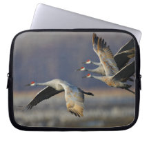 grúa funda computadora