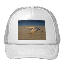 grúa gorras