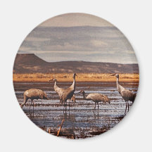 Grúas de Sandhill Imán Para Frigorífico