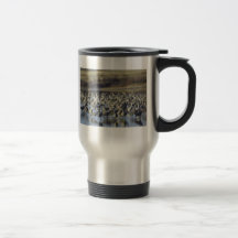 Grúas de Sandhill Taza