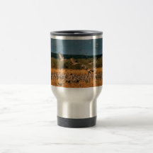 Grúas de Sandhill Tazas De Café