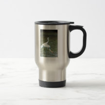 Grúas que chillan taza