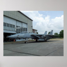 Grumman F-14 Tomcat en el poster